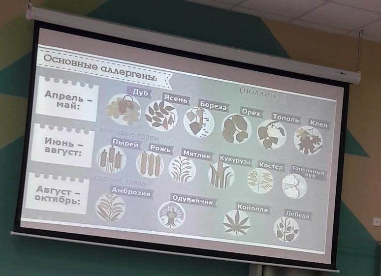 аллергия