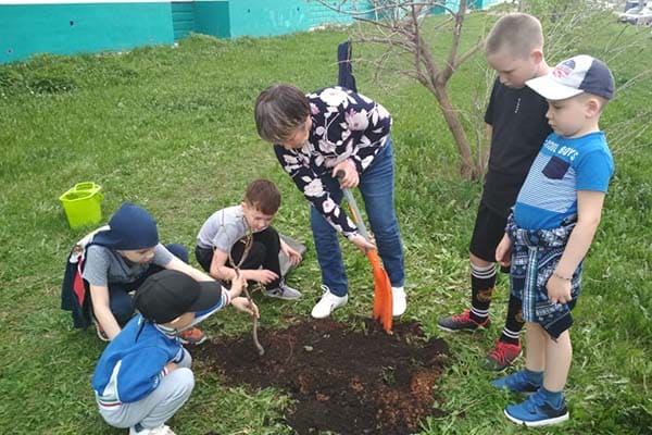 75 яблонь под твоим окном
